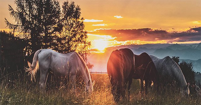 45 Stunning Landscape Wallpapers, High Resolution