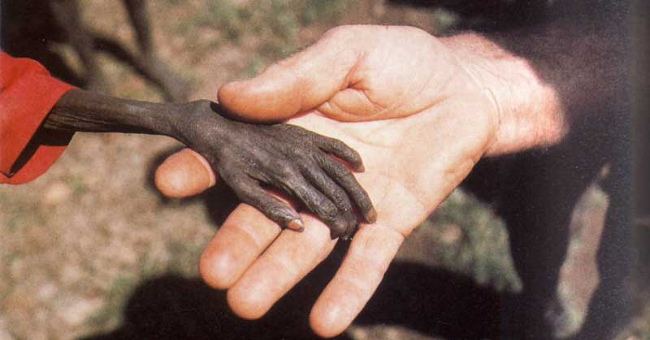 10 Classic Historical Photos Strangle Human Hearts