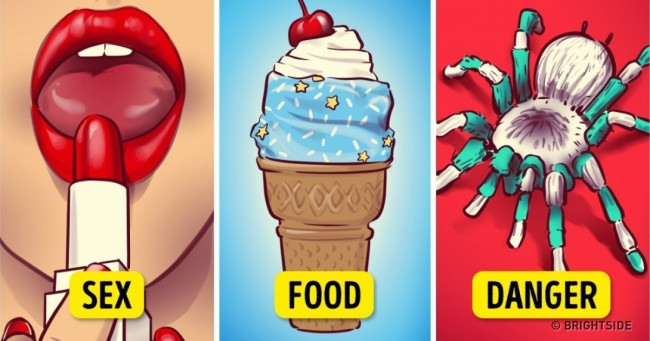 10 Interesting Psychological Facts to Help You Better Understand