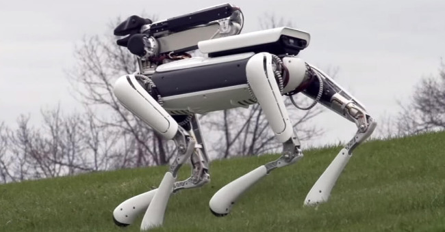10 Robots Have Succeeded in Proving They Are New Generation Animals