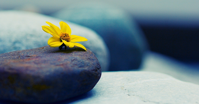 10 Sayings Make Every Day Your Meaning: Good Sayings About Life