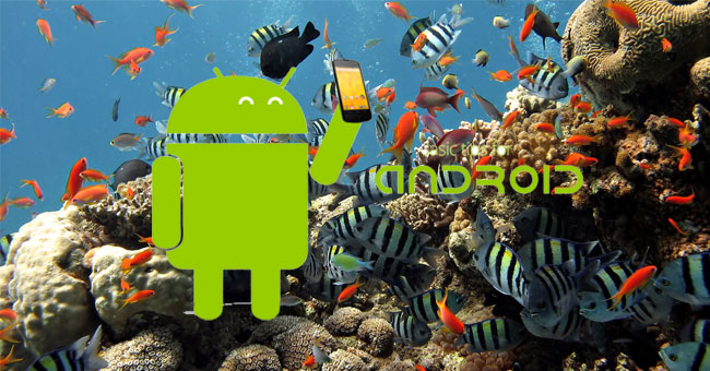 10 Things to and Should Not Do with Android Devices