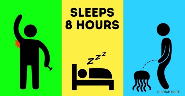 11 Misconceptions About the Most Common Human Body That Billions
