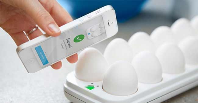 12 'Must-have' Devices for Smart Home (Smart Home)