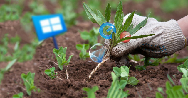 12 Programs and Windows Applications Are Not Required You Should