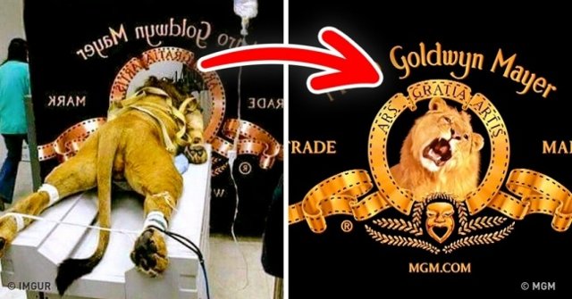 12 Surprising Facts About Logos of World Famous Brands