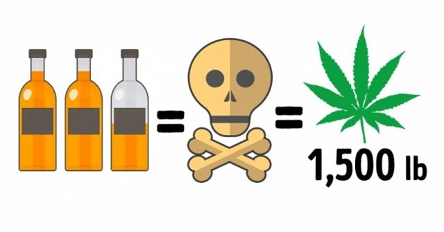 14 Harmless Food but if Overdose Can Cause Death
