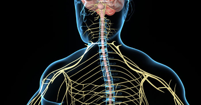 14-year-old Girl Suffering from Scoliosis Is Cured by New Medical