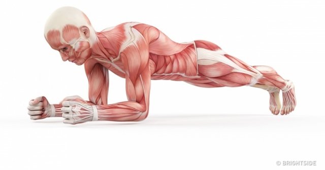 15 Basic Errors When Exercising Can Be Harmful to Your Health