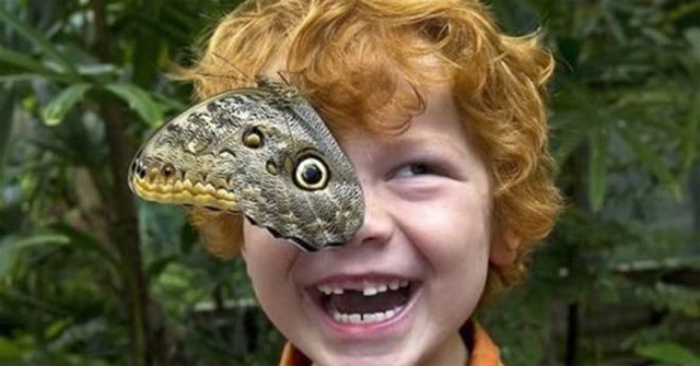 Funny Pictures: 15 Moments of Misleading Humor