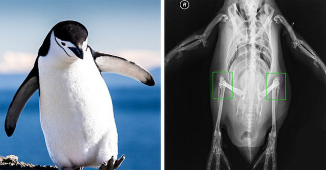 Truth Through Photos: 15 Photos Help You Expand Your Knowledge