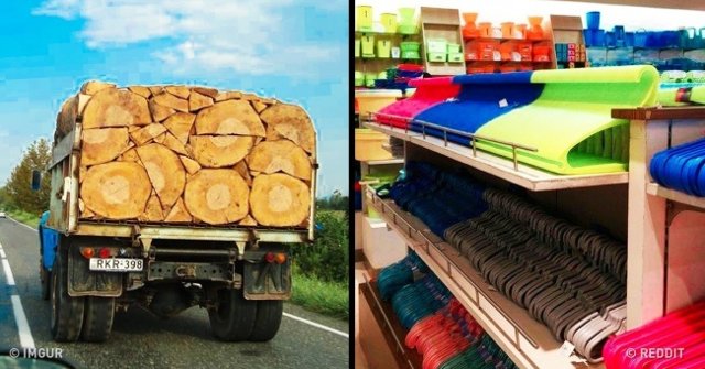 18 Great Perfect Photos That You Can't Take Your Eyes Off