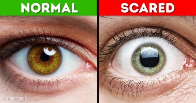 18 Interesting Facts About the Human Body That Make You Say