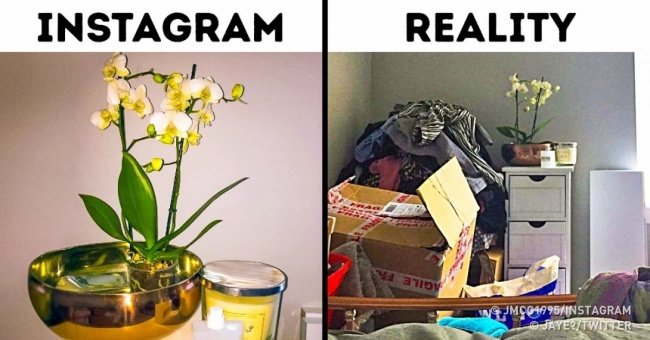 18 Proofs of Virtual Living on Social Networks Make Us Laugh
