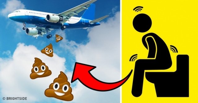 19 Familiar Phenomenon That Everyone Can See but Lazy to Ask Google