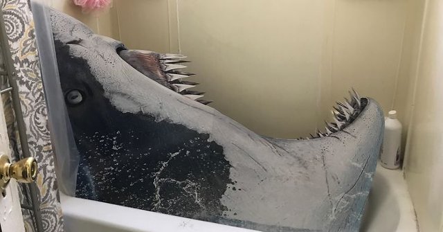 20+ Images Show That Roommates Are Always the Most Dangerous Kid