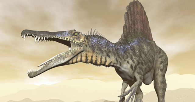200 Million Year Old Dinosaur Footprints Are Found in Africa