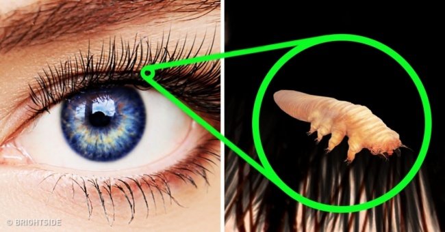 21 Interesting Facts About the Human Body Not Everyone Knows