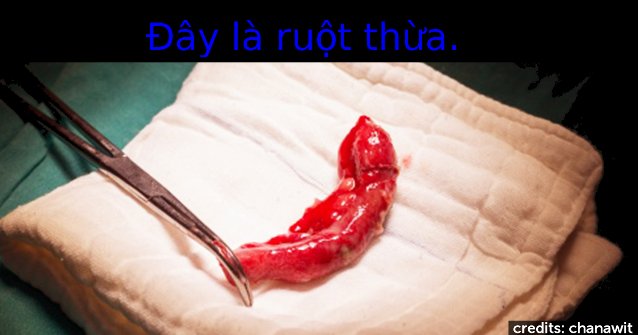 24 Interesting Things in Life You May Not Know