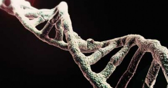 3 Types of Hybrids Like Myths Exist in Reality