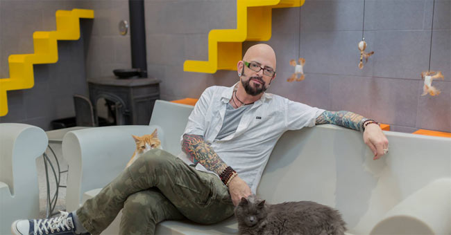3 Valuable Business Lessons from Cats