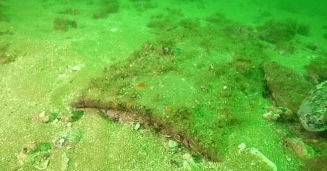 30 Ancient Kyoto Tiles Found Under the Sea Off the Island of Fukuoka, Japan
