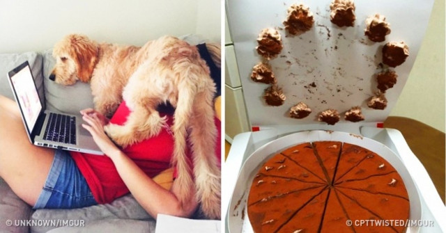 30+ Most Annoying and Annoying Things in the World