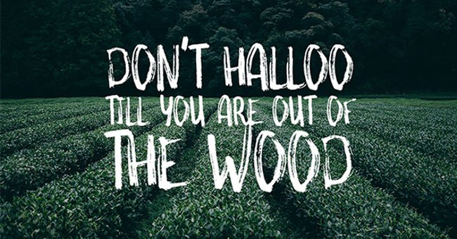 Free Fonts : 35 Beautiful Fonts Free Download