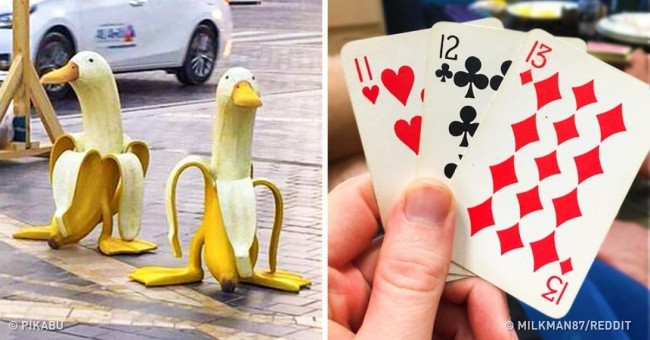 35 Funny Pictures Make You Believe That Anything in This World Can