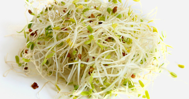 4 Ways to Make Delicious Sprouts Right at Home Are Very Simple