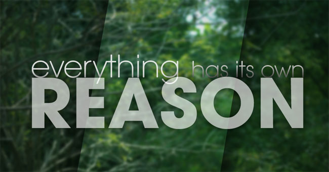5 Ways to Understand Why Everything Happens in Life Has a Reason