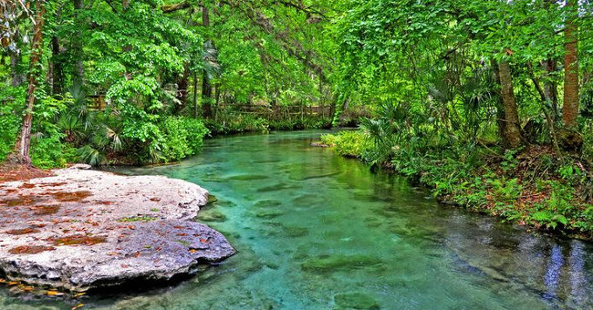 6 Ideal Natural Tourist Lakes in Florida: Blue Spring Lake