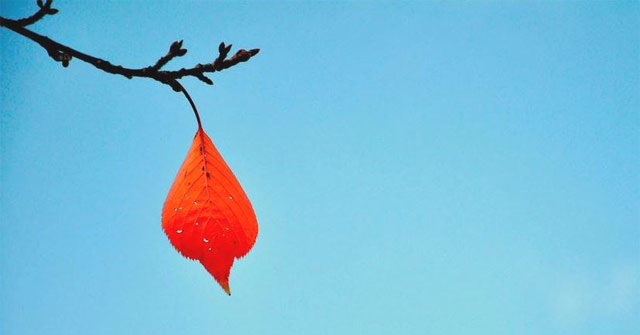 6 Meaningful Stories About Life You Should Read Once in Your Life