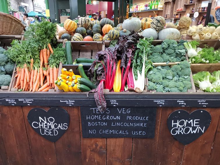 6 Places to Find and Buy Food When Your Grocery Store Is Out