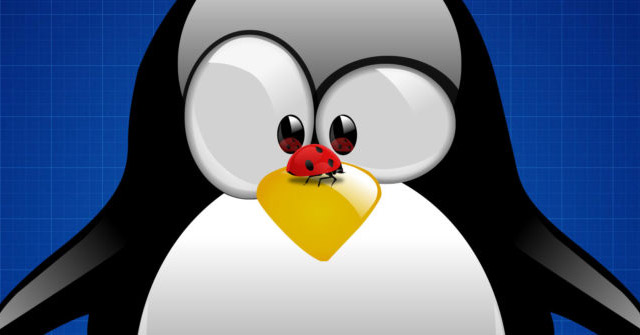 6 Reasons Why the Linux Operating System Often Fails
