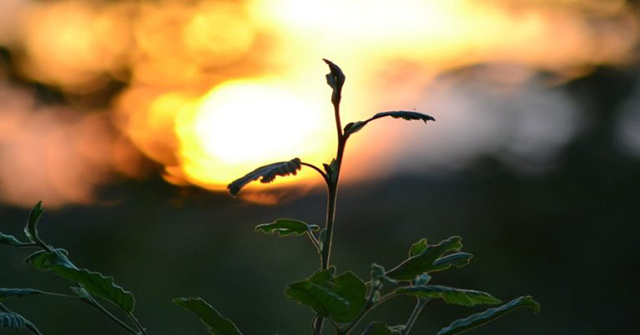 6 Simple Steps to Have Great Photos on Instagram