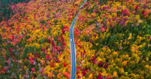 Road: 7 Beautiful Autumn Paths as in the Fairy World