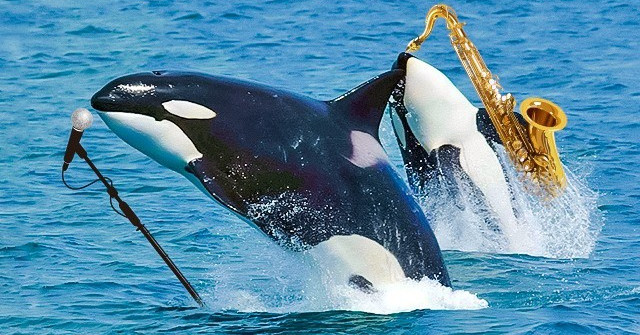 7 Facts About Life Make You Say That This World Has so Many Miracles
