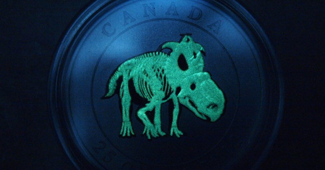 7 Most Exotic and Interesting Coins in World History