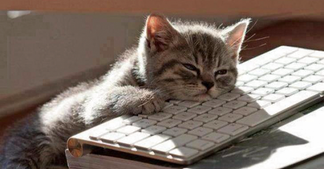 7 Reasons Why Lazy People Are More Likely to Succeed