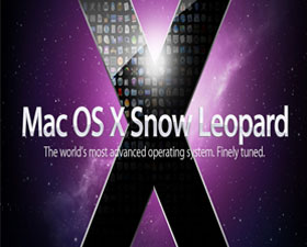 7 Remarkable Features of Snow Leopard