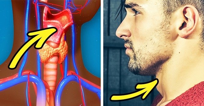 8 Facts About Male Bodies That They Themselves Do Not Know