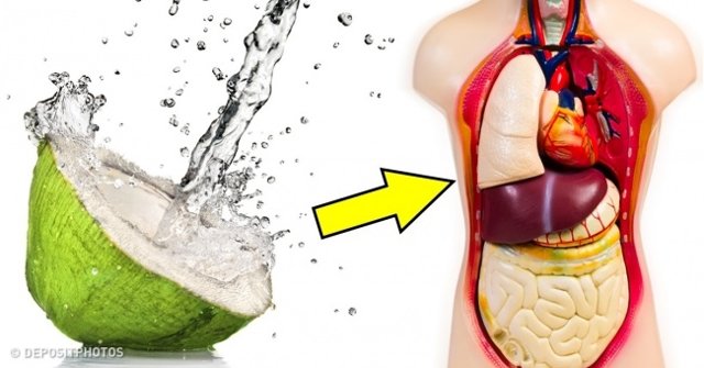 8 Great Things Can Happen to the Body if Drinking Coconut Water