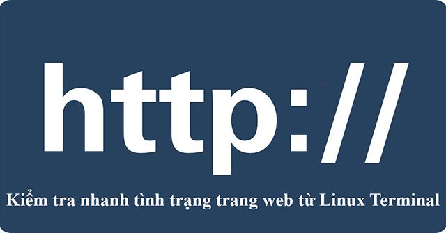 8 Methods to Quickly Check Website Status from Linux Terminal