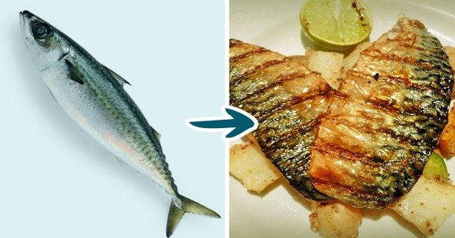 9 Familiar Types of Fish Should Not Eat Too Much if You Don't Want