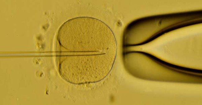 A Human Can Be Created from a Laboratory, Without Eggs and Sperm