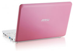 A Tiny Little Laptop in the Summer