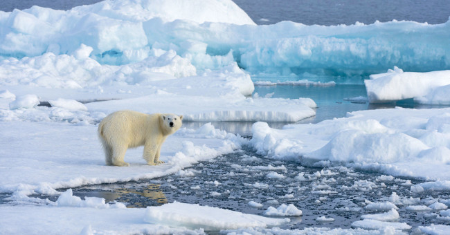 Acid in the Arctic Ocean Increases Rapidly with Climate Change