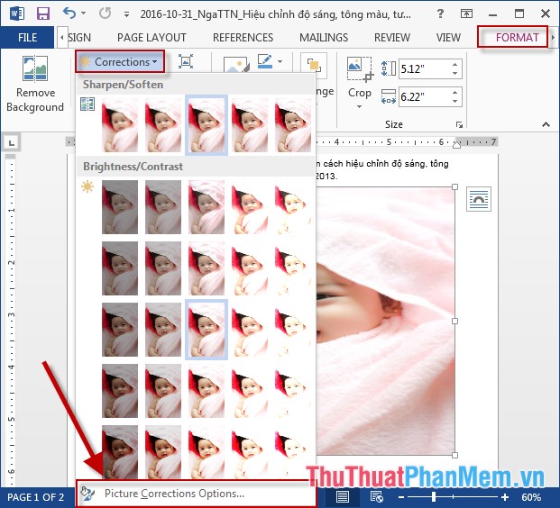 Adjust Brightness, Tone, Contrast, Image Compression in Word
