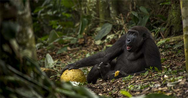 Admire the Magic of Nature Through the Best Photos at the
